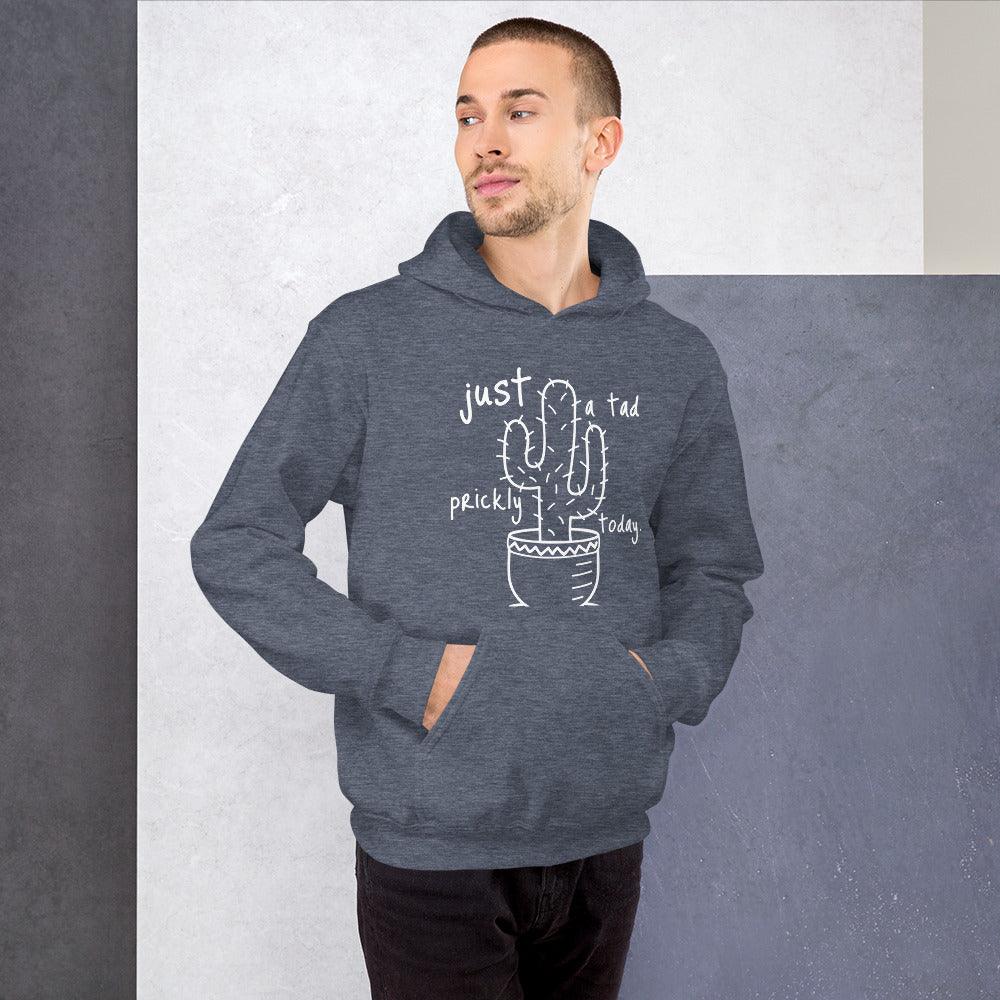 Unisex hoodie featuring a central cactus design, symbolizing introverted nature lovers.